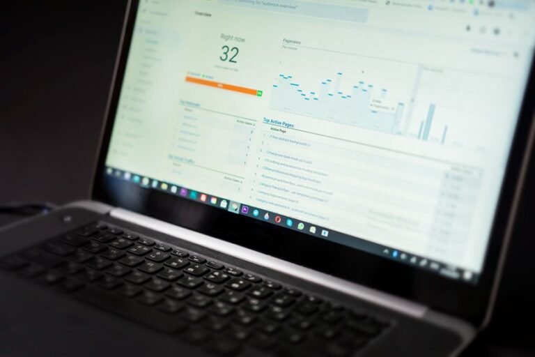 software susbluezilla overview summary